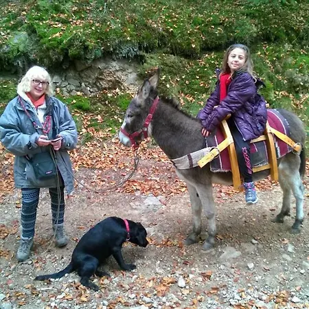 Du Pays Des Lacs De Pierre Percee * Celles-sur-Plaine